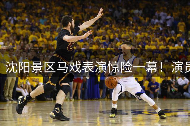 沈阳景区马戏表演惊险一幕！演员持火把骑马坠落